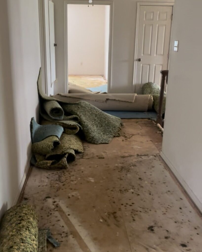 carpet removal services in essex county