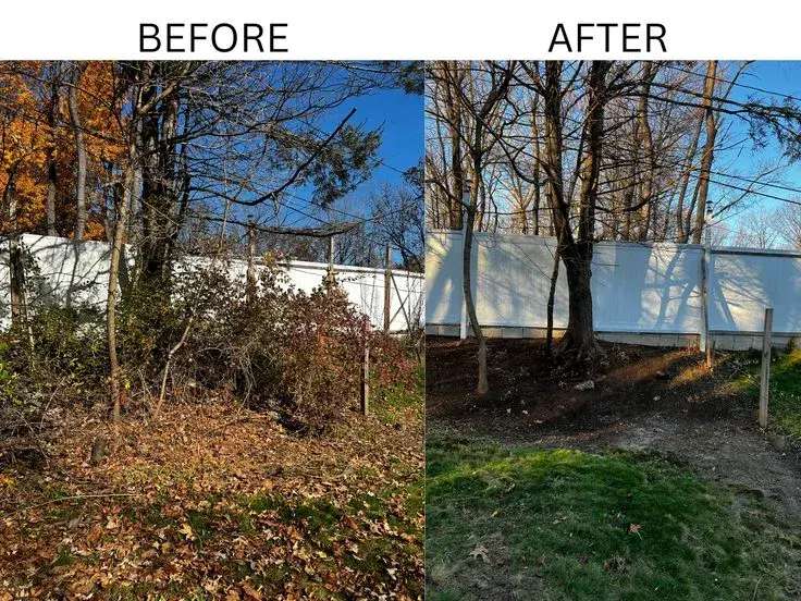 Yard Waste Removal Services in Orange, New Jersey