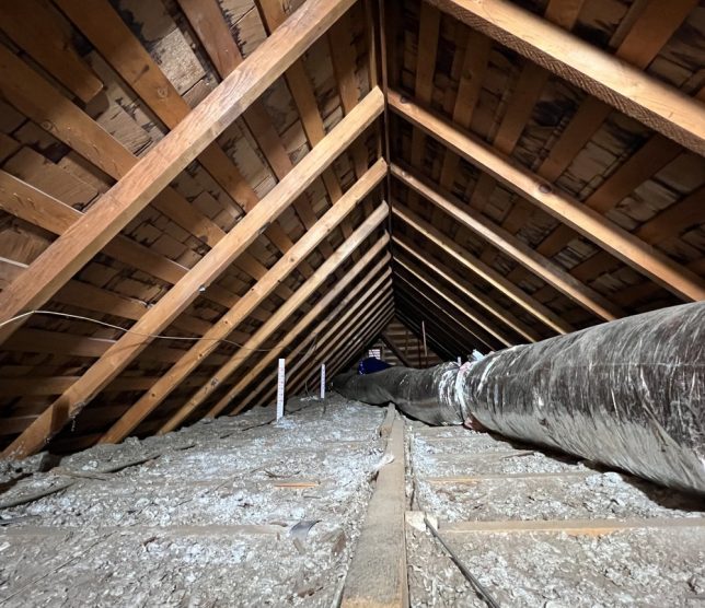 Junk & Hauling Removal Services