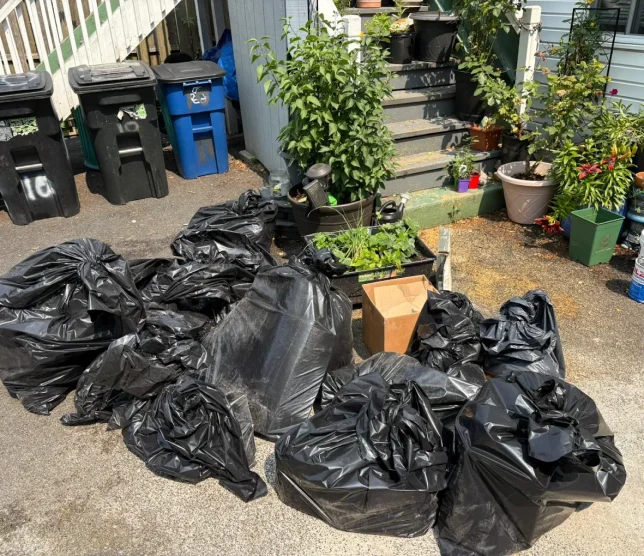 Junk & Hauling Removal Services